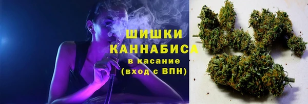 ГАЛЛЮЦИНОГЕННЫЕ ГРИБЫ Алзамай