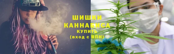 ГАЛЛЮЦИНОГЕННЫЕ ГРИБЫ Алзамай