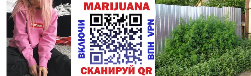 где можно купить наркотик  Нестеровская  МАРИХУАНА сатива 